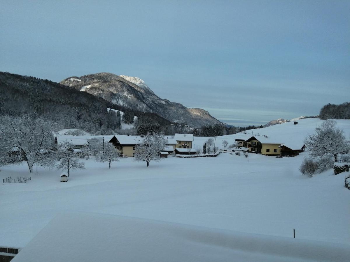 Auszeit Am Weinbuehel Lägenhet Bad Ischl Exteriör bild